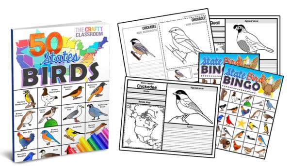 AR Coloring Book in USA | Colorful Birds | Magic Activity