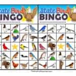 StateBirdBingo1