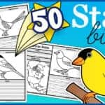 StateBirdsWorksheets