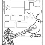 TexasWorksheet