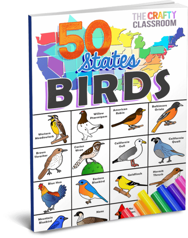 AR Coloring Book in USA | Colorful Birds | Magic Activity