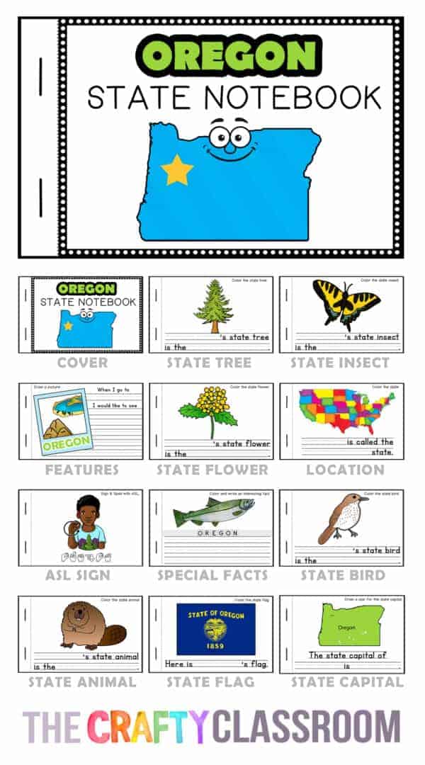 50 States Minibook Pack - The Crafty Classroom