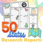 StateResearchReport