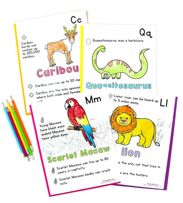 Color & Learn A-Z Animals & Habitats - The Crafty Classroom