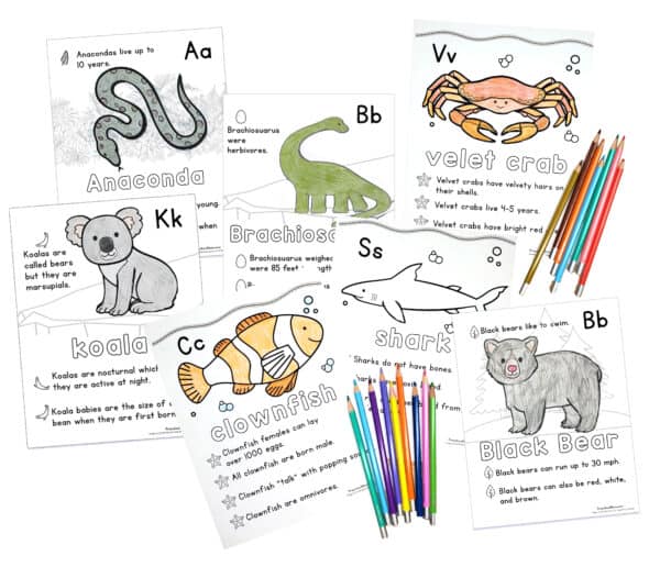 coloring pages of different habitats for animals