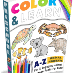 ColorLearnBundle