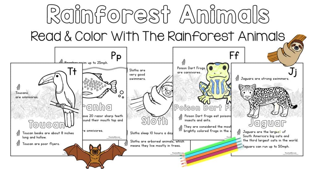 rainforest animals coloring page